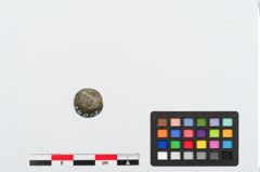 Foto von Bronzeknopf (NHMW-PRAE-024013)